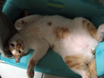 ichi02_021908.jpg